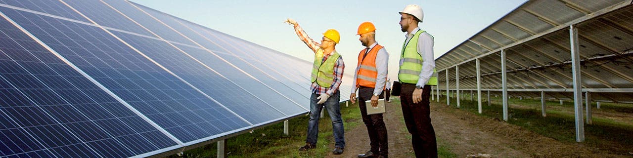 Employees in field Employees in field