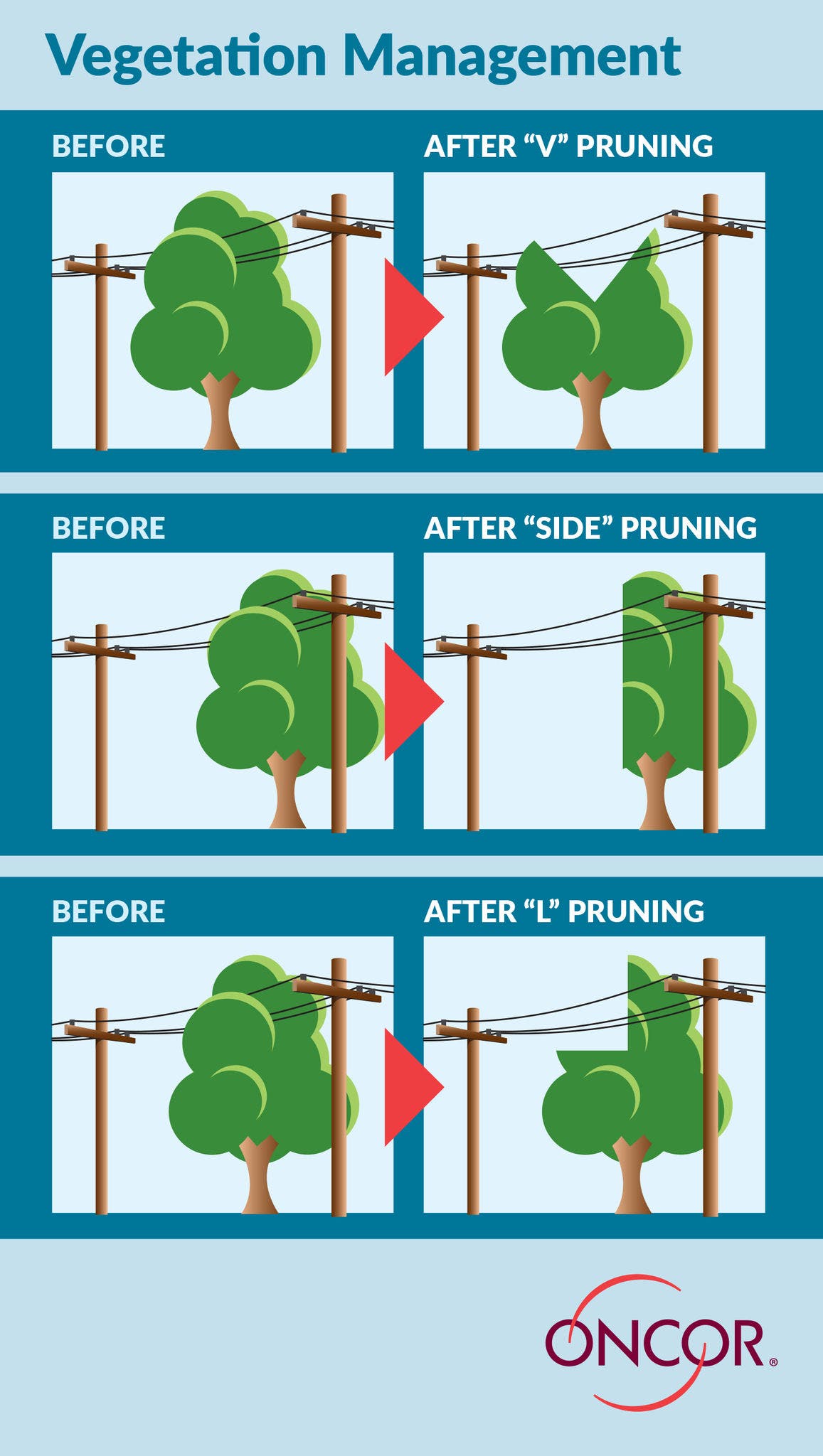 Graphic-Pruning-Guide-10-28-23 Graphic-Pruning-Guide-10-28-23