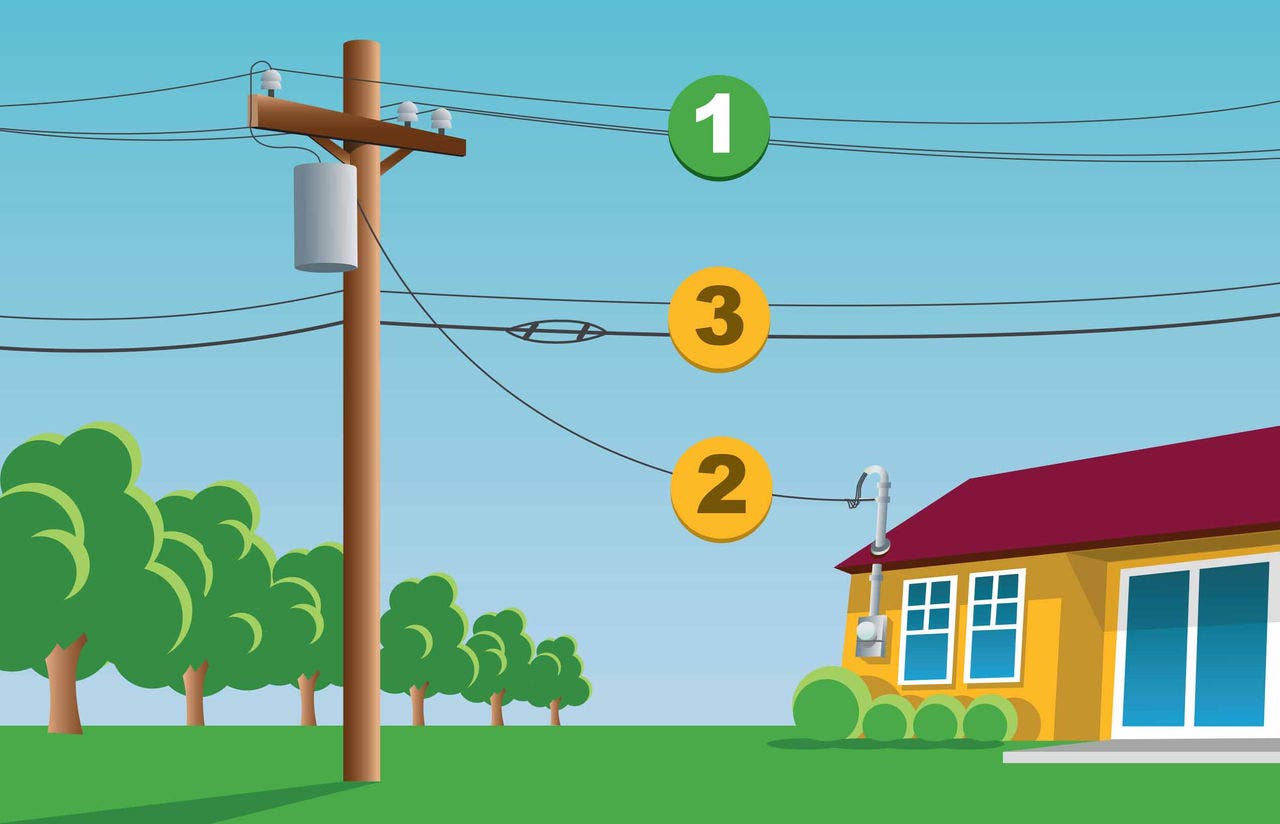 Tree pruning responsibility graphic