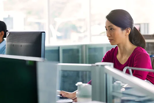 Retail Electric Providers