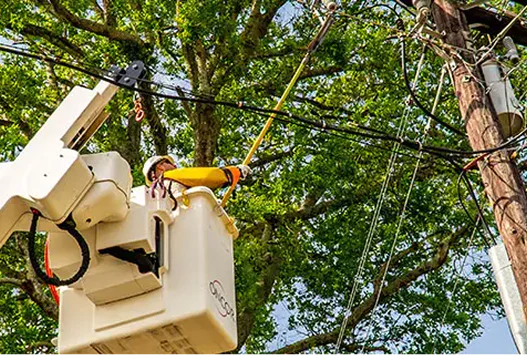 KNOW BEFORE YOU GROW