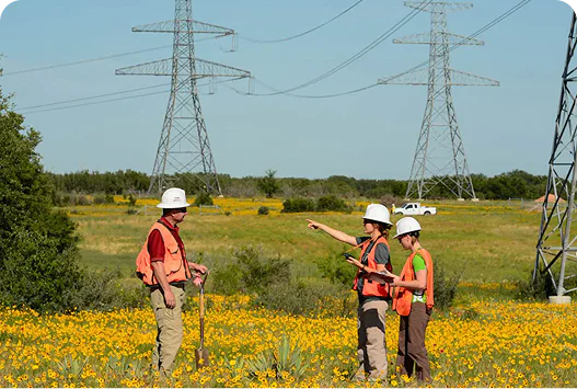 Transmission Line Process