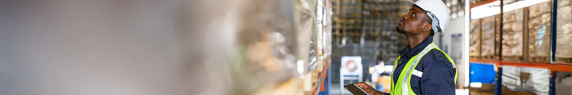 CUSTOM OPTION Banner Image