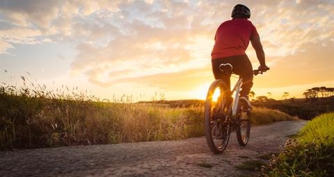 click here to view article image