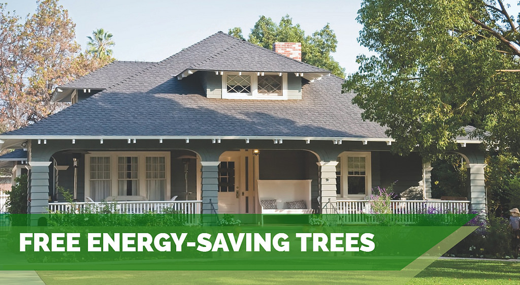 click to opens an article hero image